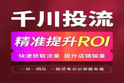 成功SEM推广代运营案例展示